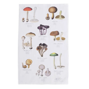 tyylikäs keittiöpyyhe jossa sienien kuvio ja niiden nimet