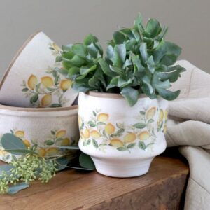 kukkaruukut sitruunakuviolla kasveilla pöydällä