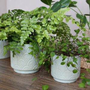 ruukkuja vaaleanvihreässä värissä seisoo pöydällä 