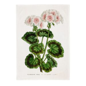 keittiöpyyhe pelargonia kuvalla valkoisella taustalla