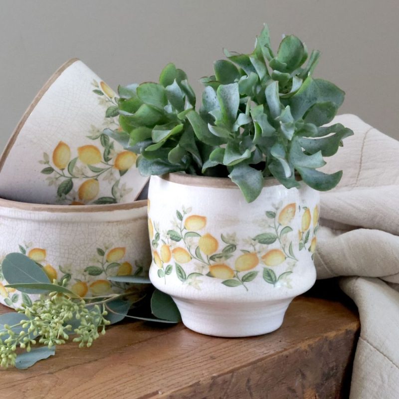 kukkaruukut sitruunakuviolla kasveilla pöydällä